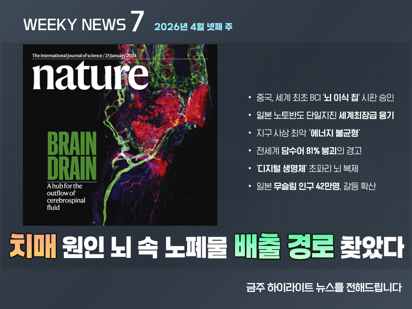 《Weekly News7》위클리 뉴스7 2026년 4월 넷째 주